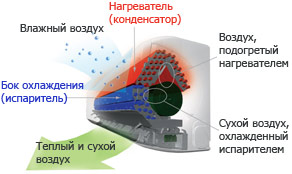 Sarara –      